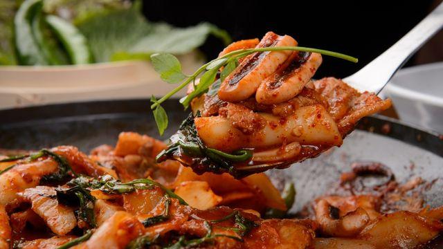 KBS2 '생생정보' 오삼주물럭 外