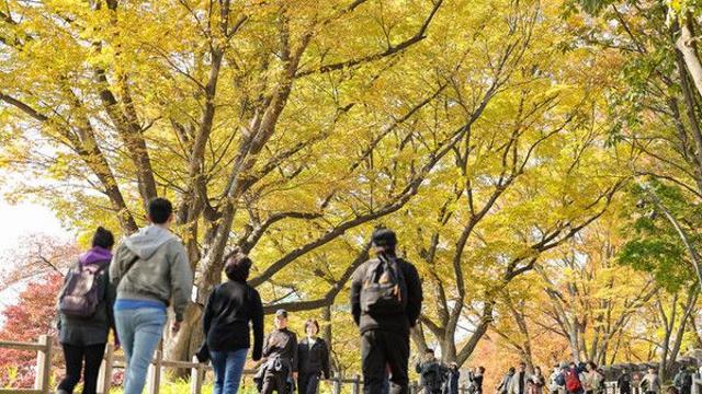 인천, 대체로 흐리고 평년기온 웃돌아…늦은 오후 빗방울