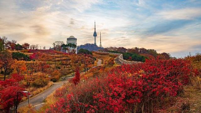 “단풍·노을·야경 다 있다