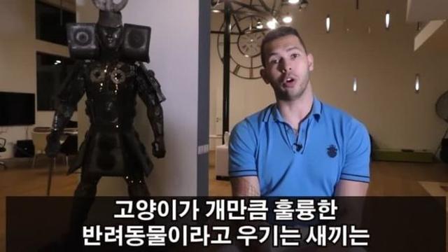 고양이 키울바에 개를 키워야 한다는 상남자...jpg