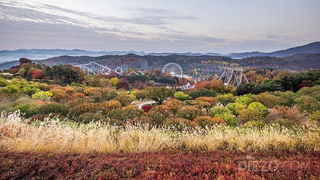 [주말 나들이] 이번 주 단풍 절정 에버랜드, 판타지 축제와 힐링 스파 코스 인기