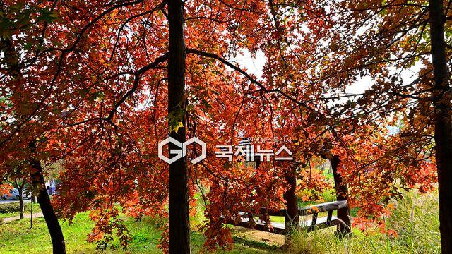 [오늘날씨] 주말 충청-중부지방 '가을비'...서울 낮 17도-부산 21도 포근