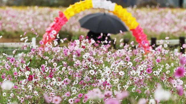 전북 흐리고 저녁부터 비…내일까지 5∼10㎜