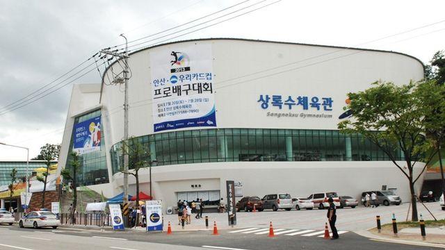 김연경 이름 넣은 안산 상록수체육관 명칭 변경 70% '찬성'