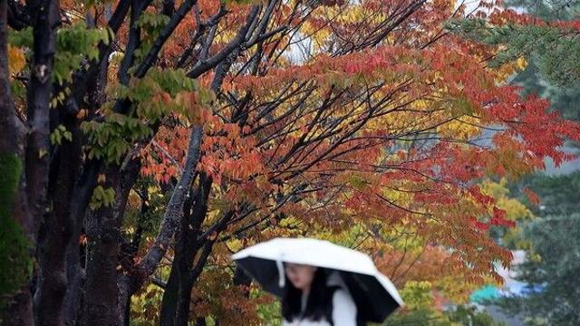 [날씨] 전국 곳곳 가을비, 낮에는 포근한 기온 예상