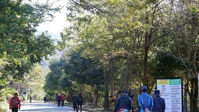 광주·전남 '따뜻한 가을'…'지각 단풍' 이달 중순 절정