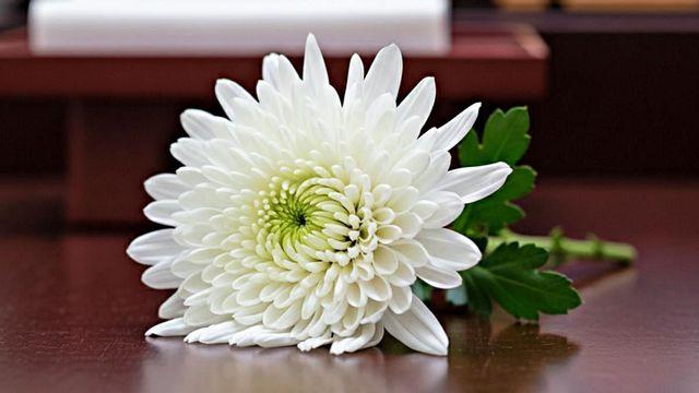 방송으로 이름 알린 한국 남자 모델, 갑작스레 부고 전해졌다…향년 35세