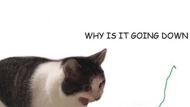 미국 주식 폭락한다고 작작좀 징징거려라 ㅅㅂ