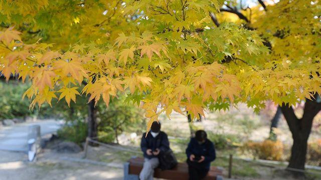 대전·세종·충남 늦은 밤부터 가끔 비…낮 최고 17∼19도