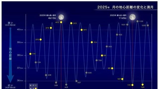 [돋보기] 도쿄 밤하늘에 뜬 ‘6년 만의 슈퍼문’… 시민들 시선 끌었다