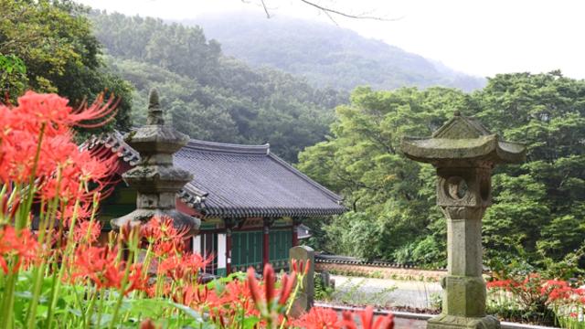 고즈넉한 사찰과 생태 공원이 선사하는 함평 가을산책