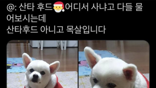 이 후드티의 진실은?