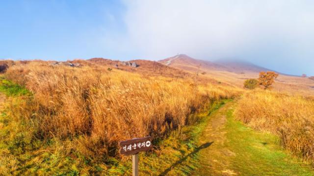 황매산의 가을, 억새 물결 따라 걷는 합천 사색의 시간