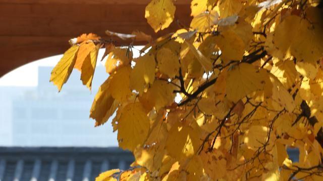 이번 주말 전국에 가을비… 제주 최대 60㎜, 기온은 평년 수준