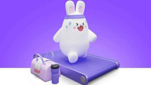 비트버니 퀴즈 11월 7일 정답