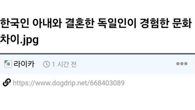 한국인 아내와 결혼한 독일인 기자가 경험한 문화 차이