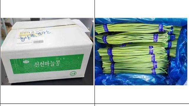 수입 마늘종·냉동 시금치 회수…잔류농약 기준 초과