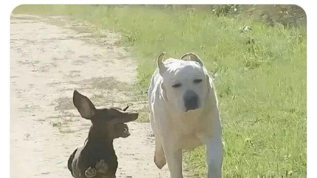 누가 봐도 외향형 한테 기 빨리는 내향형