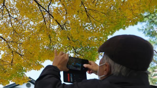 [오늘 날씨] 전국 흐리고 곳곳에 비…낮 최고 21도 '포근'