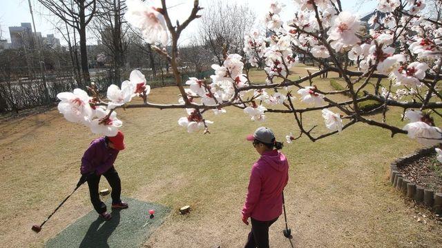 창녕군, 36홀 규모 파크골프장 11일 개장…내년까지 7곳으로