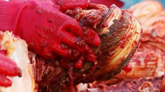 “5가지가 다르다” 엄마도 몰랐던 김치 명인들의 김장 비법, 알고 보니…