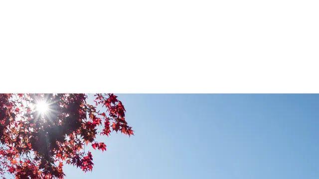 주말 청남대(22)