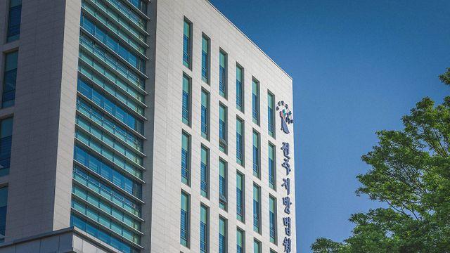 버려진 공기총으로 쇠기러기 사냥한 마을 주민들...징역형 집유