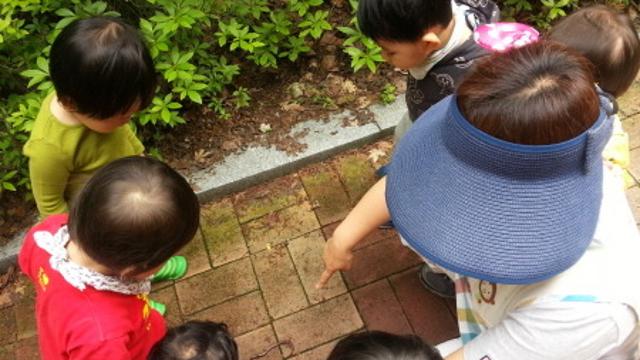 '첫 선생님' 보육교사, 의무는 무겁고 권리는 보이지 않는 현실