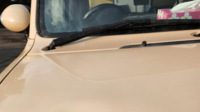 차량에 돌진하는 일본 곰