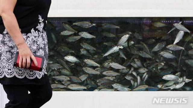 식당 업무방해 벌금형 앙심…식중독 허위리뷰, 집행유예