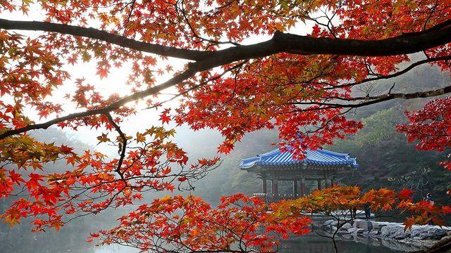 전북 흐리고 구름 많아…낮 최고기온 16∼19도