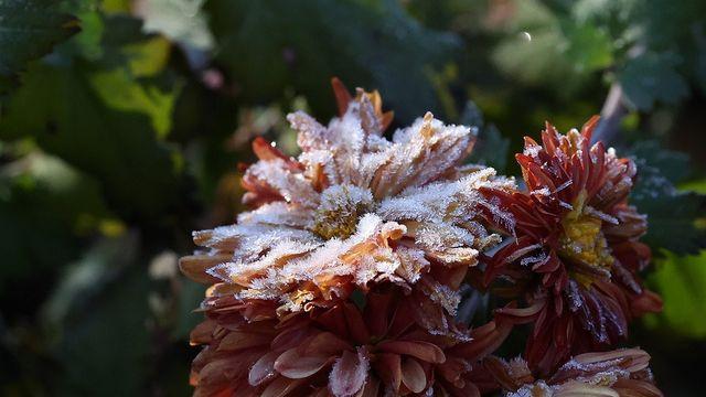 강원 흐리고 낮 최고 19도…찬 공기에 내일 아침 기온 '뚝'