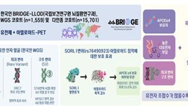 한국인 알츠하이머병 유전요인 대거 규명, 정밀 맞춤치료 기반 마련