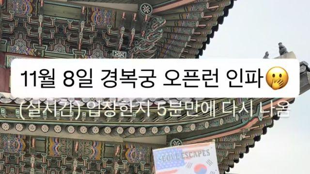 11월 8일 경복궁 오픈런 인파