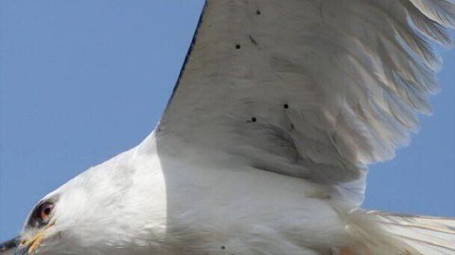 보고 있지만 말고 도와달라고