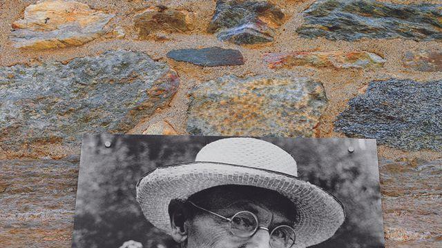 '영원한 구도자' 헤세를 이해하는 길잡이…에세이·인문서 출간