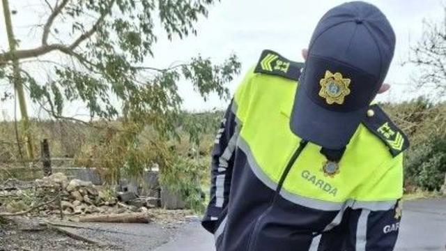 경찰이 발견한 '수상한 사자', 알고 보니