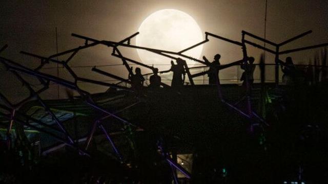 싱가포르, 온라인 사기범에 ‘채찍형’ 처벌 강화…최대 24대까지 가능