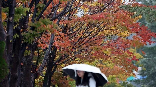 [날씨] 수도권 등 곳곳 비…오후부터 찬 공기 남하