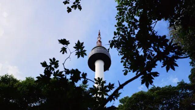 최근 파노라마 (FW45, Nikkor 65mm)