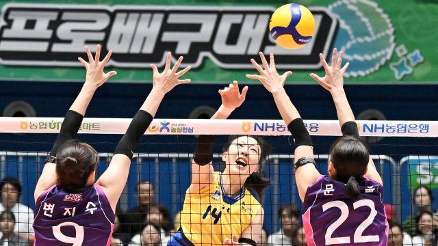 ‘리빙 레전드’ 양효진, V리그 사상 첫 8천득점 금자탑