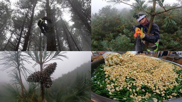 EBS1 '극한직업' 해발 1200m 하늘 아래 첫 수확 外