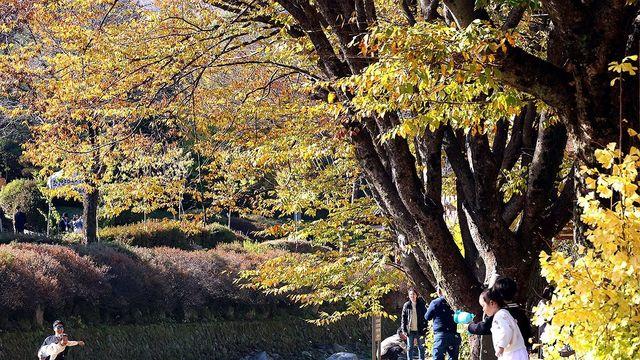 충북 흐리고 빗방울…낮 최고 18도