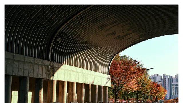 인싸들 술마실때 올리는 사진 연습