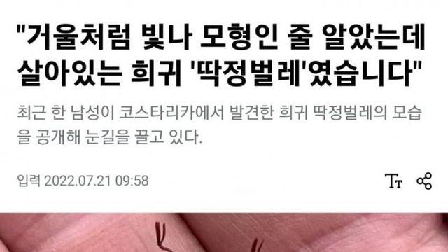 희귀딱정벌레