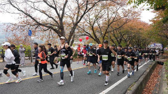강바람 맞으며 달린 '2025 영천댐 마라톤대회'
