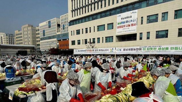 충남세종농협, 2025 농심천심 김장김치 나눔행사 열어