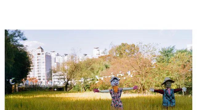 가을맞이 이왜찍 16장