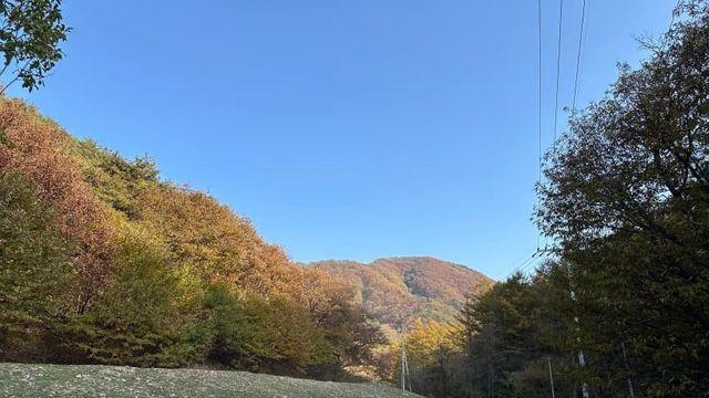 오랜만에 여친이랑 캠핑다녀옴