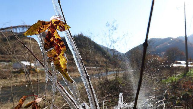 철원 임남 아침 기온 -2.3도 '뚝'…체감기온은 더 낮아 '쌀쌀'